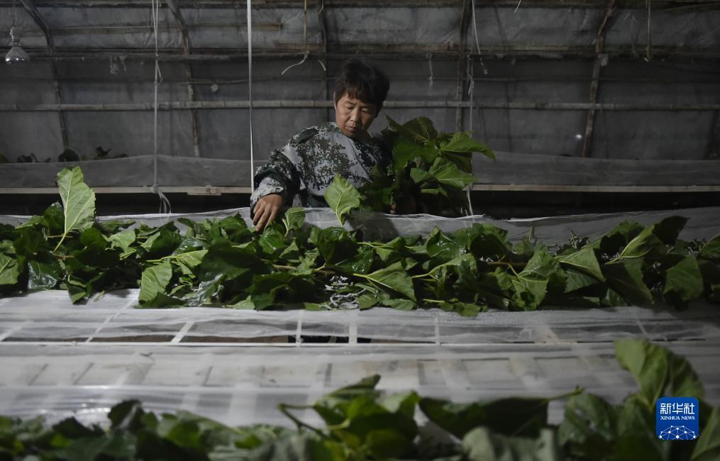 东东游戏网